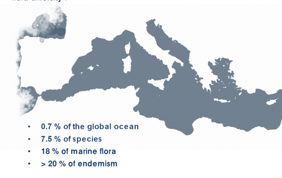 Clima: il Mediterraneo area ad alto rischio