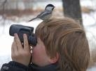birdwatching_ok