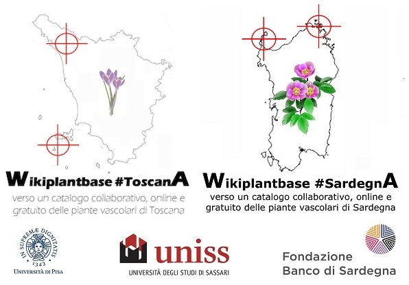 Wikiplantbase, il data base collaborativo dell’Università di Pisa per mappare le specie botaniche